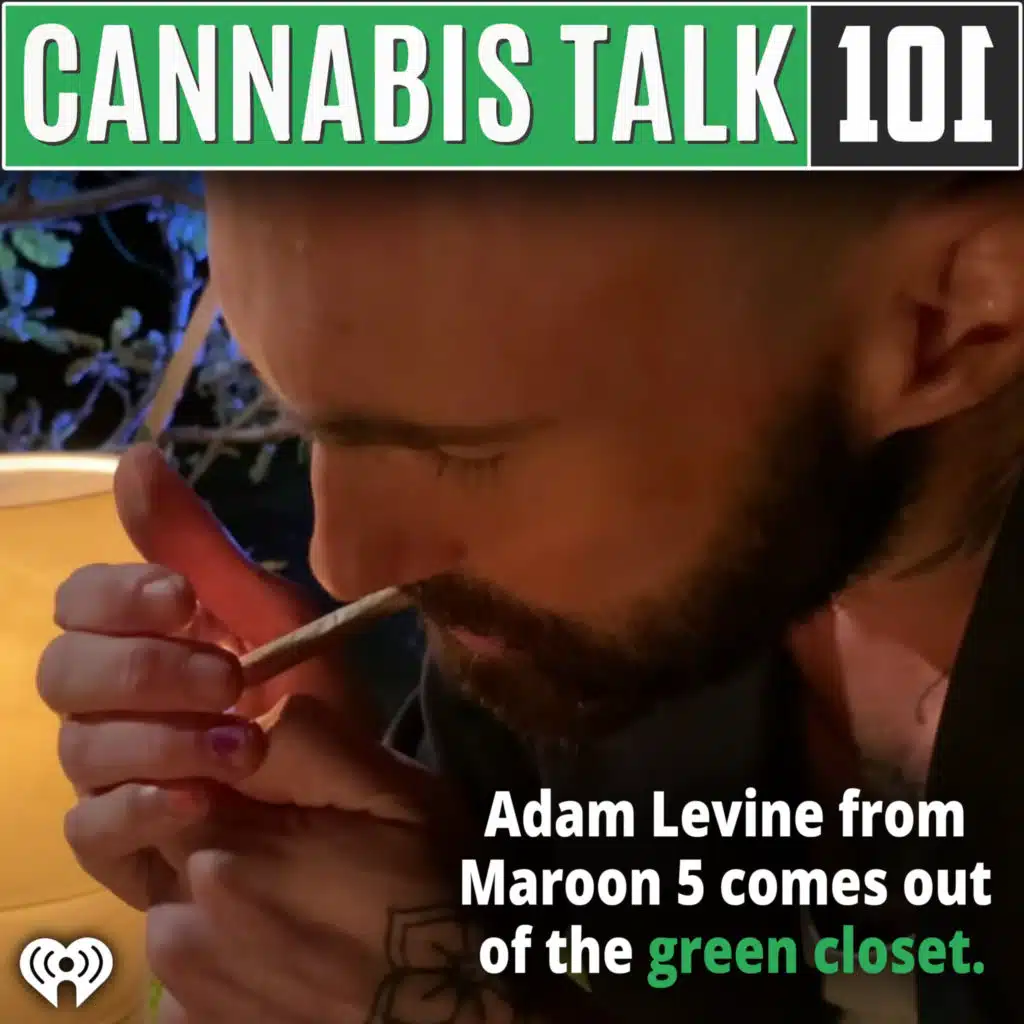 In the group's latest music video, Adam Levine from Maroon 5 comes out of the green closet.
