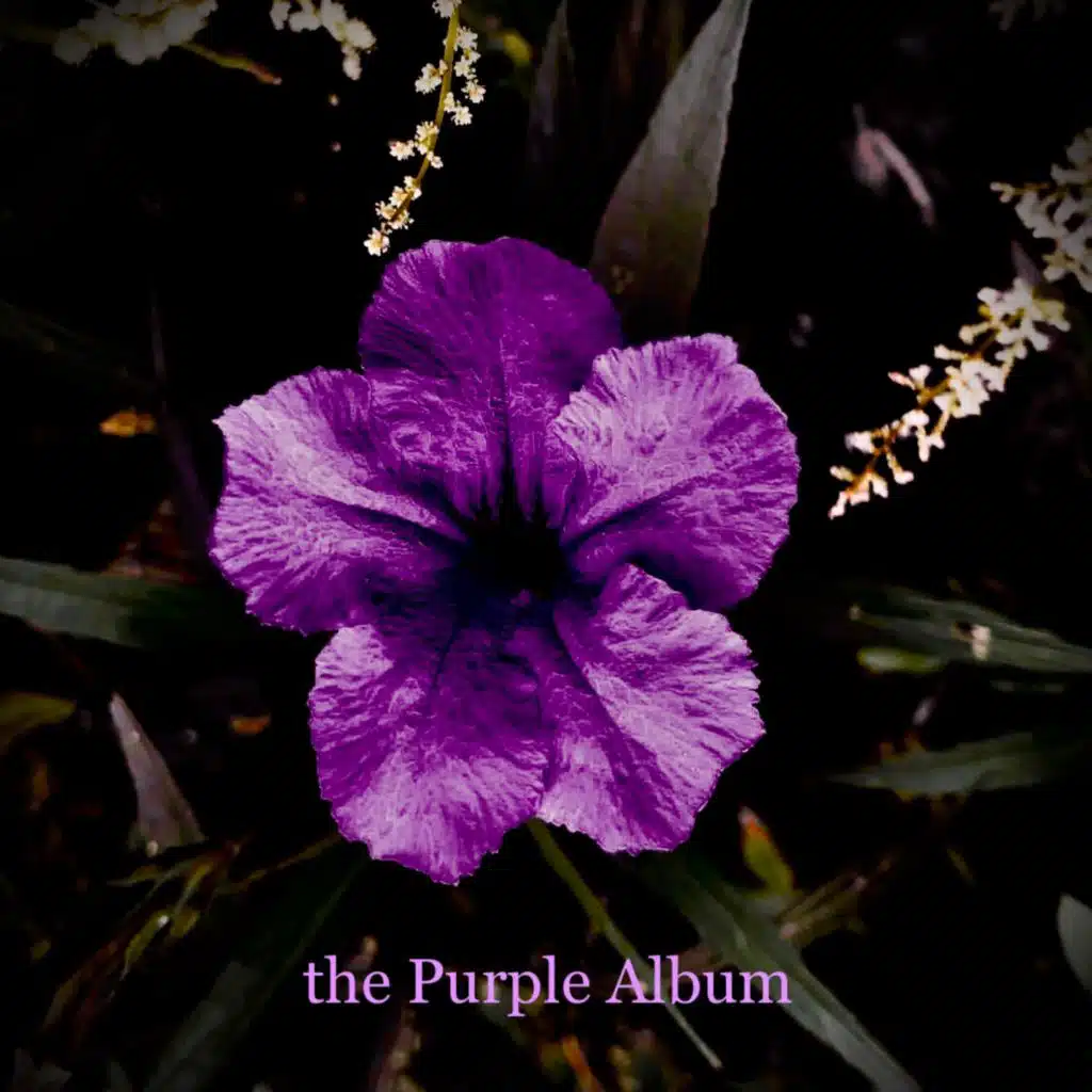 the Purple Album