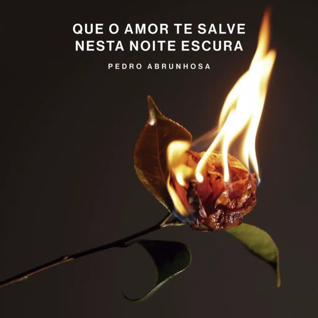 Que O Amor Te Salve Nesta Noite Escura