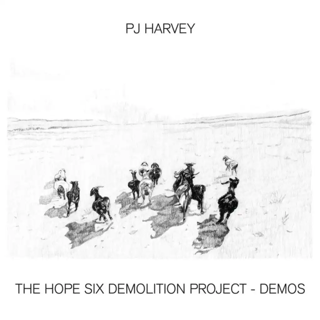 The Hope Six Demolition Project - Demos