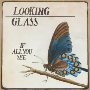 Looking Glass