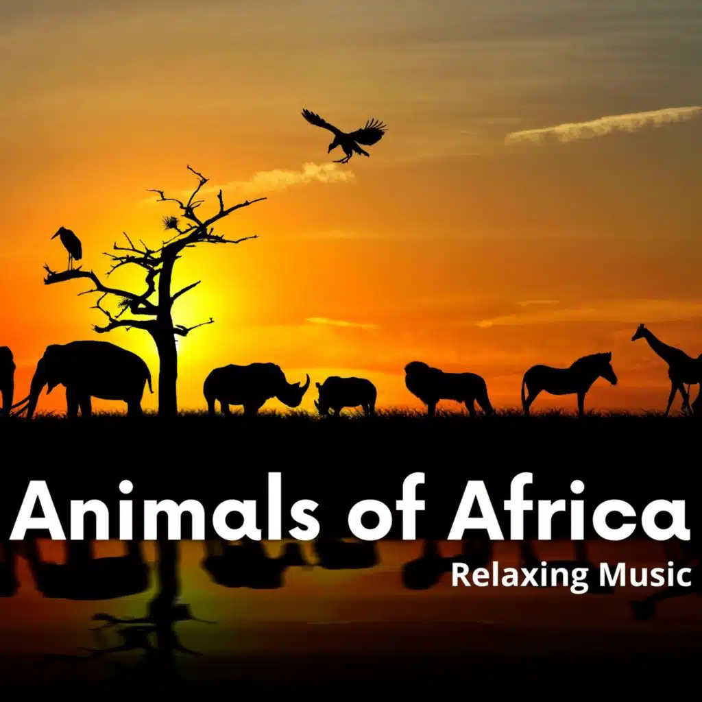 I Was Made to Praise You