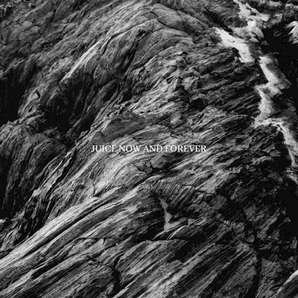 Love Poo // Love Poo II