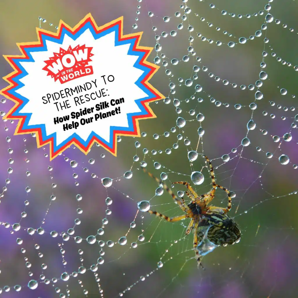 SpiderMindy to the Rescue: How Spider Silk Can Help the Planet!