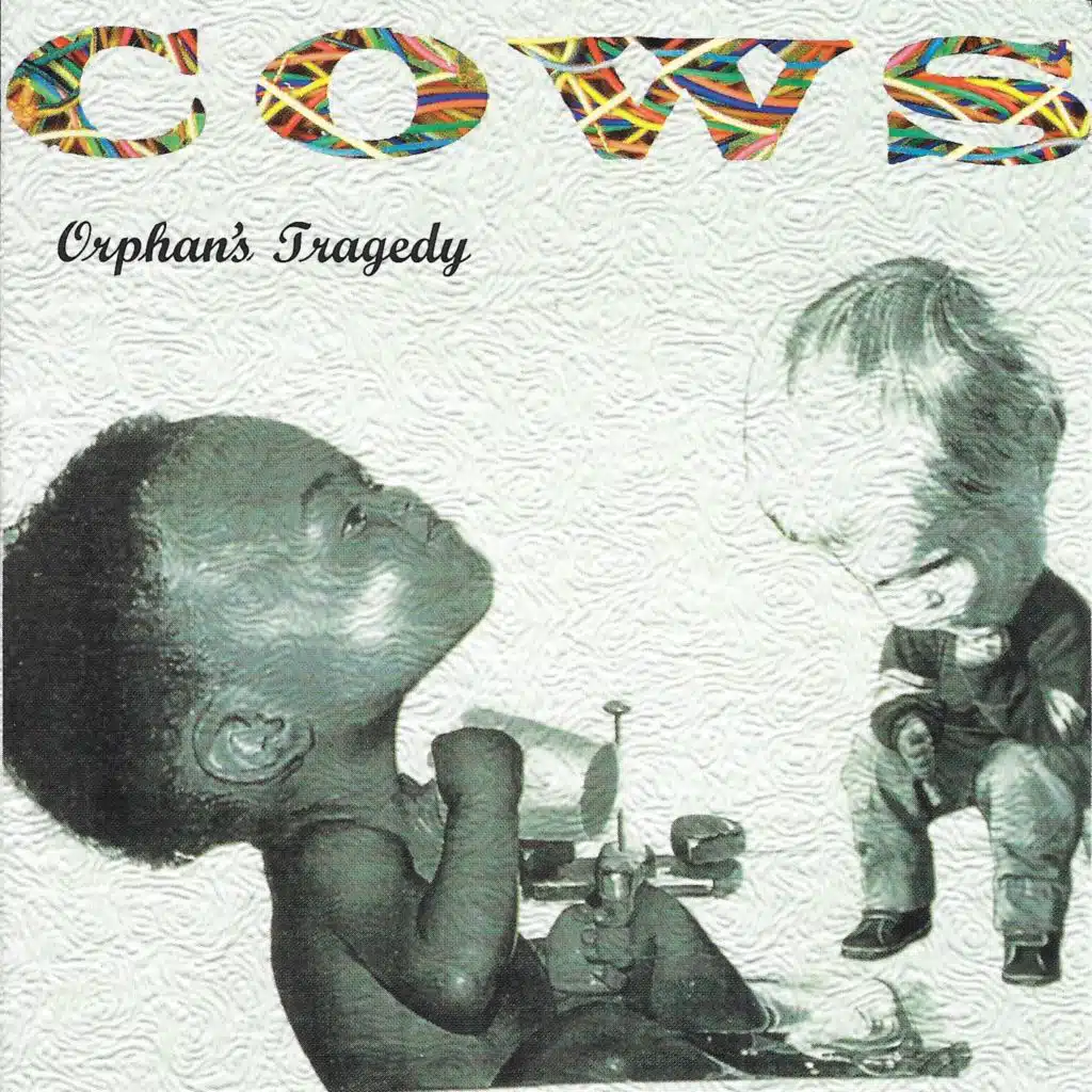 Cows