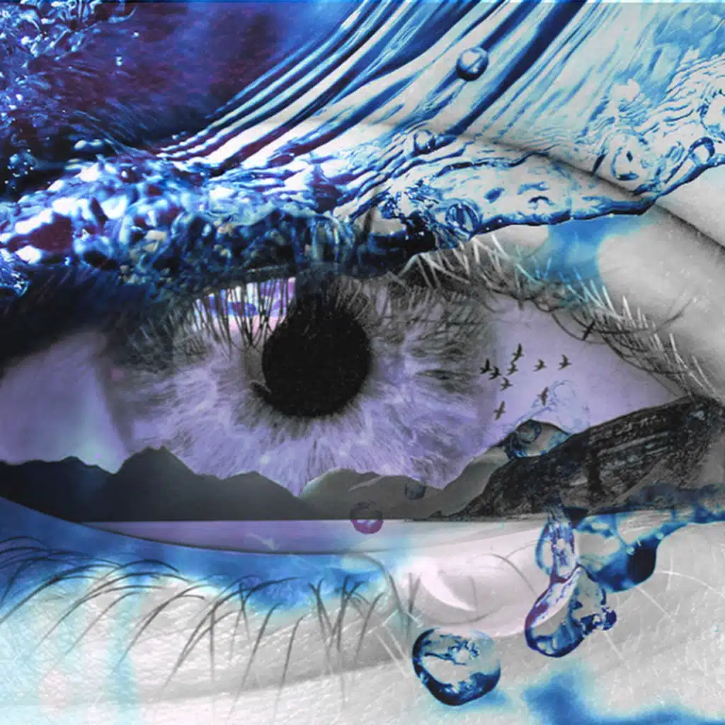 Sandor Gavin & Emily Jackson