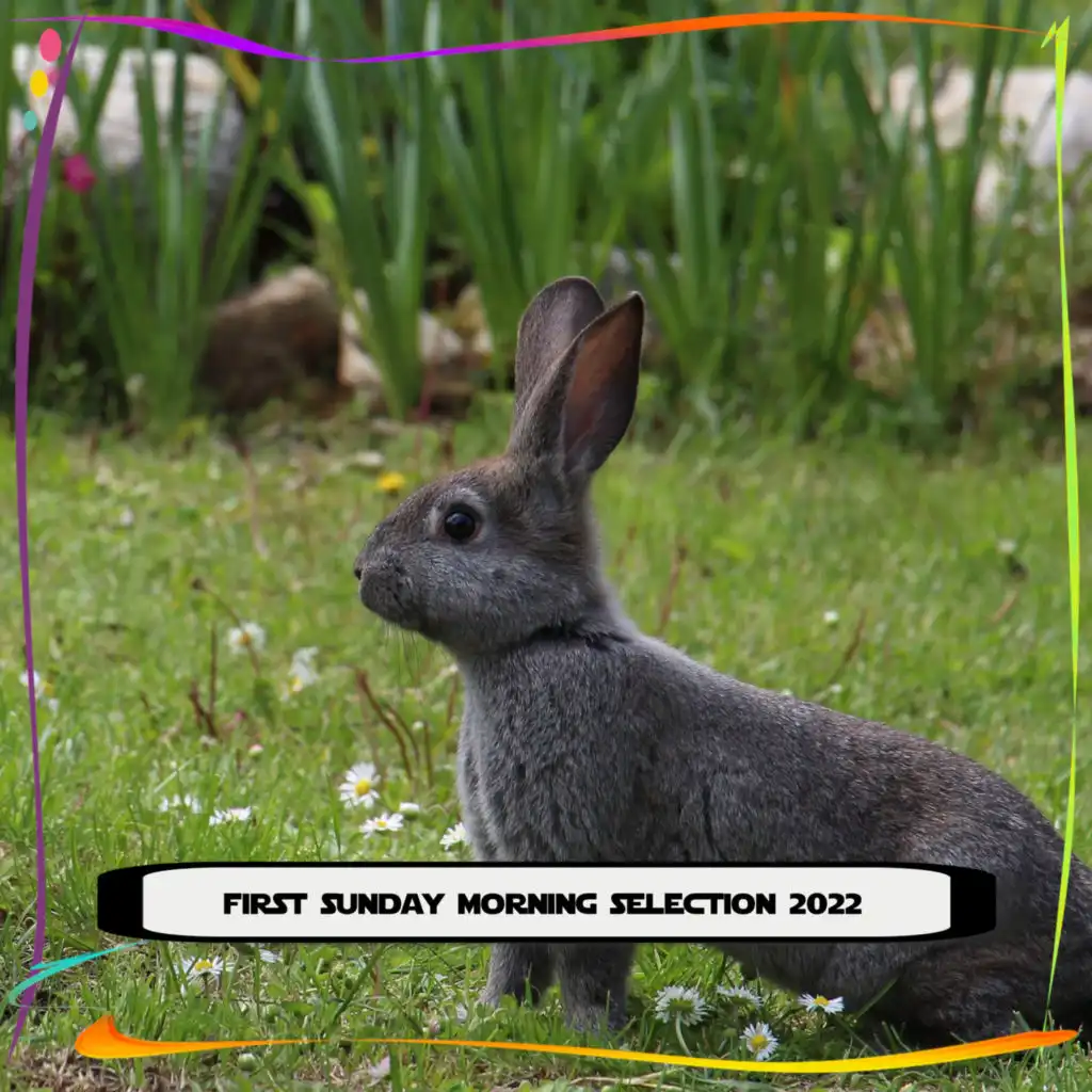 Volanti (Radio Vrs.)