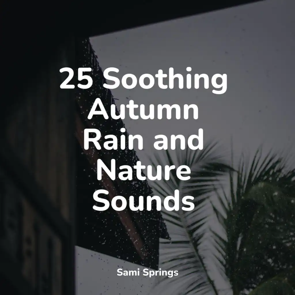 25 Soothing Autumn Rain and Nature Sounds