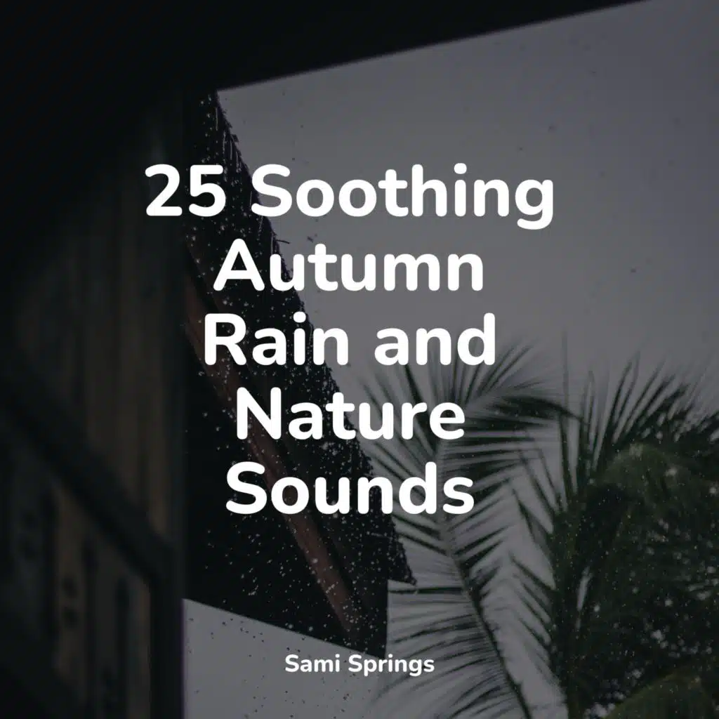 Rain Sounds ACE & Relaxing Nature Sounds Collection
