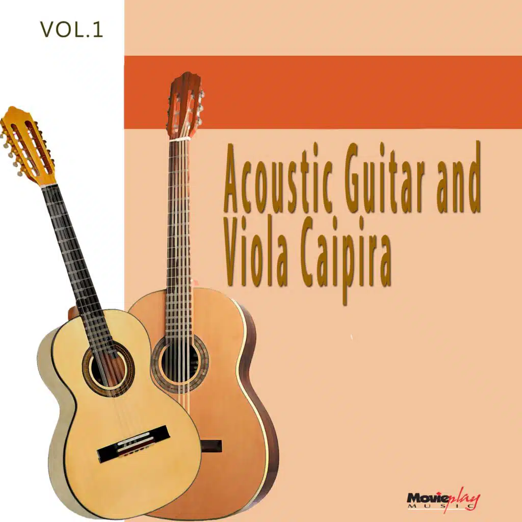 Acoustic Guitar and Viola Caipira, Vol.1