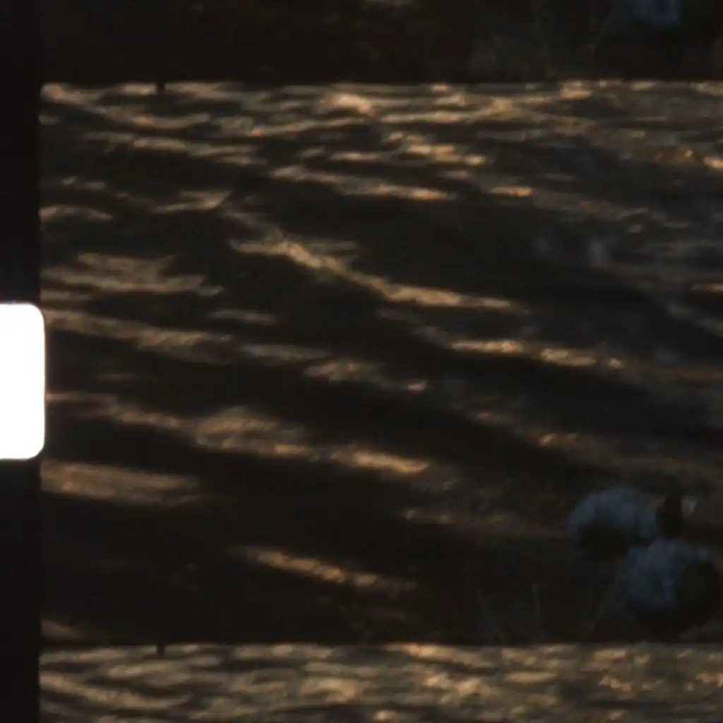 No Right To Love You (Acoustic)