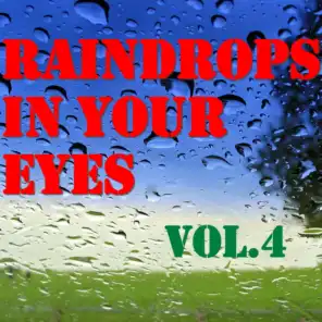 Raindrops In Your Eyes, Vol.4