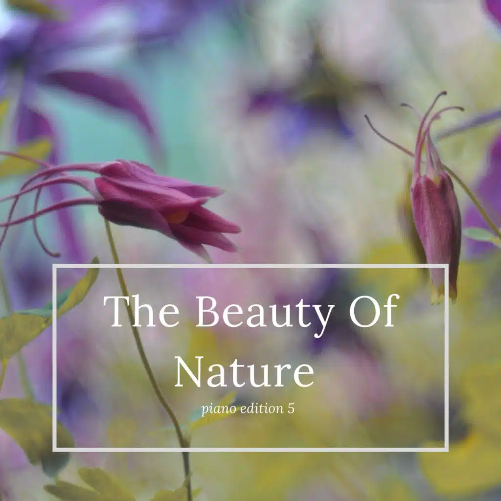 Afternoon Games (Water Version)