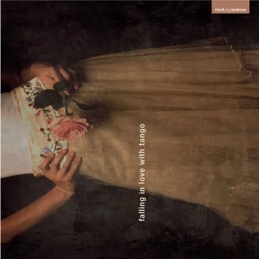 A Media Luz (Versión stereo)