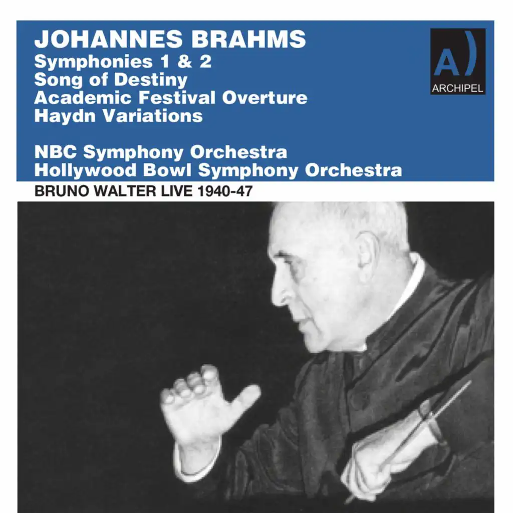 Brahms: Orchestral Works (Live)