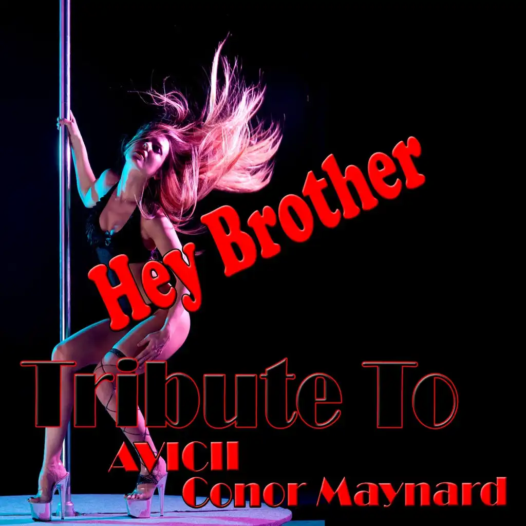 Hey Brother: Tribute to Avicii, Conor Maynard (Compilation Hits 2014)