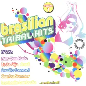Brasilian Tribal Hits Vol. 1