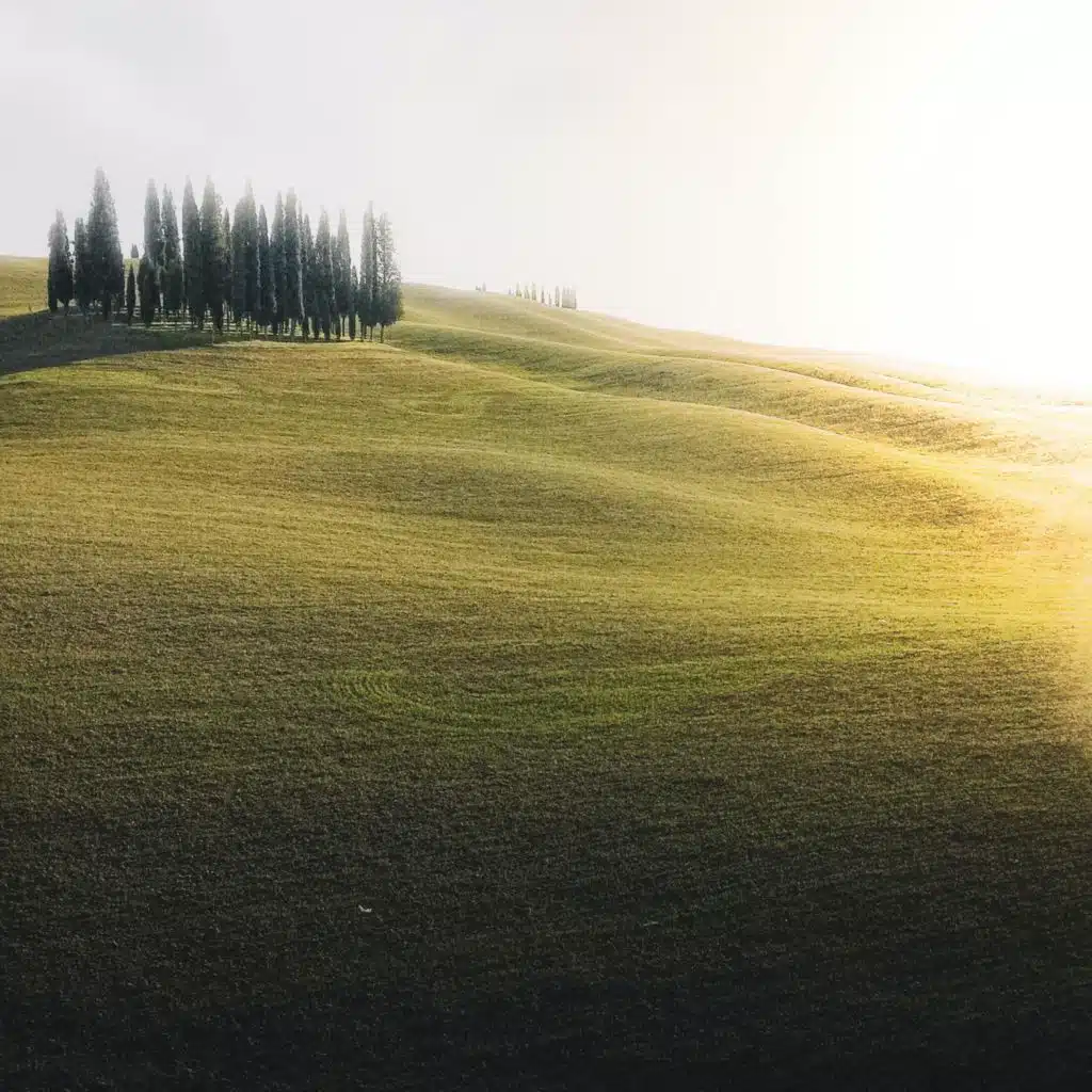 Loosen Peaceful White Noise (feat. White Noise Therapy/Brown Noise)