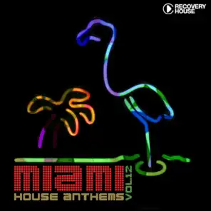 Miami House Anthems, Vol. 12