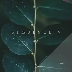 Sequence V