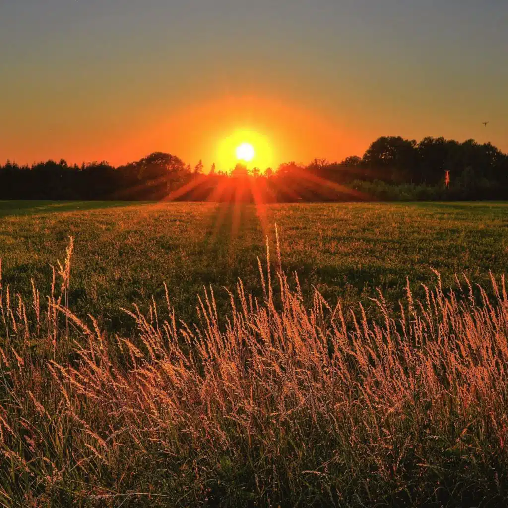 Colic Relief White Calm Noise (feat. Baby Sleep Sounds/White Noise Baby Sleep)