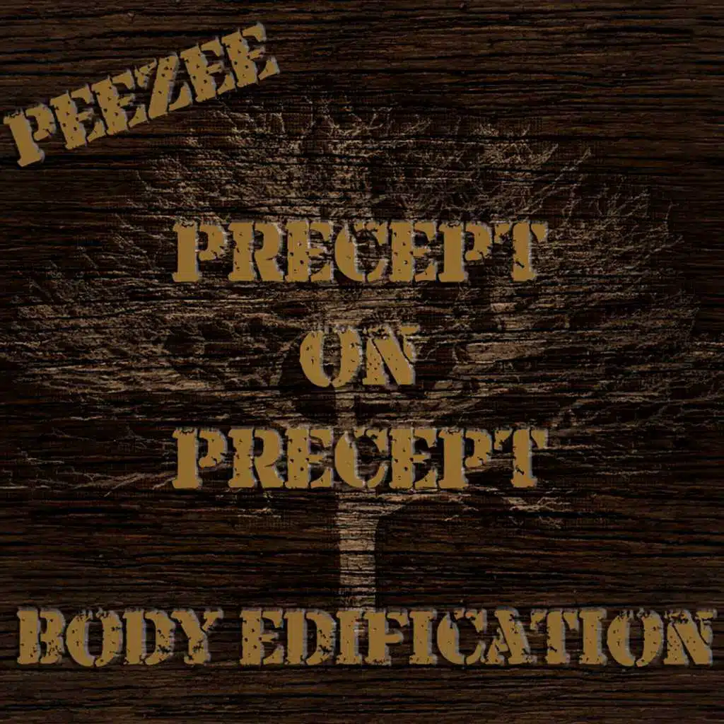 Precept on Precept Body Edification
