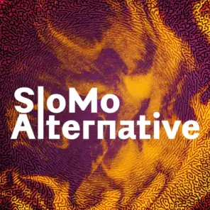 SloMo Alternative