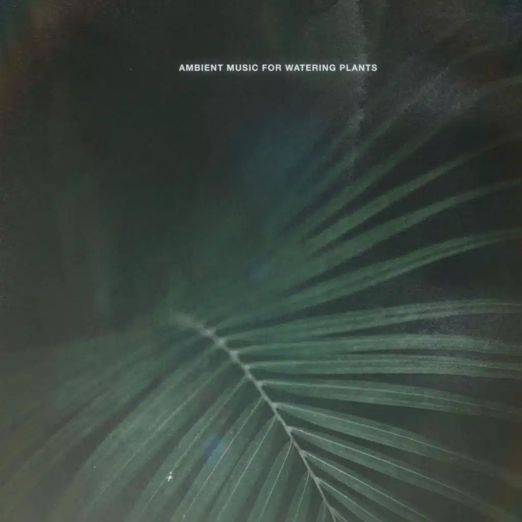 Meditation II. Monstera