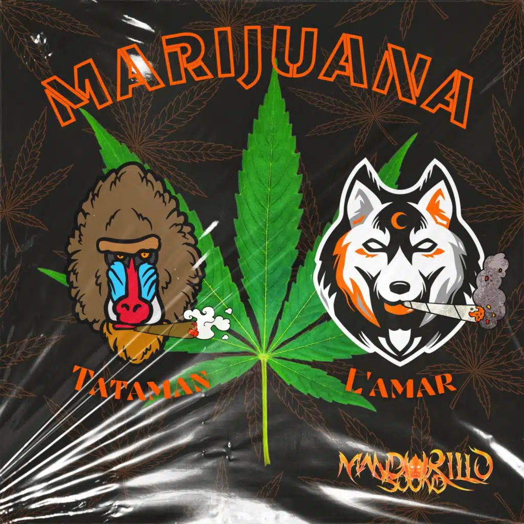 FT Watuza, Tataman & L'amar