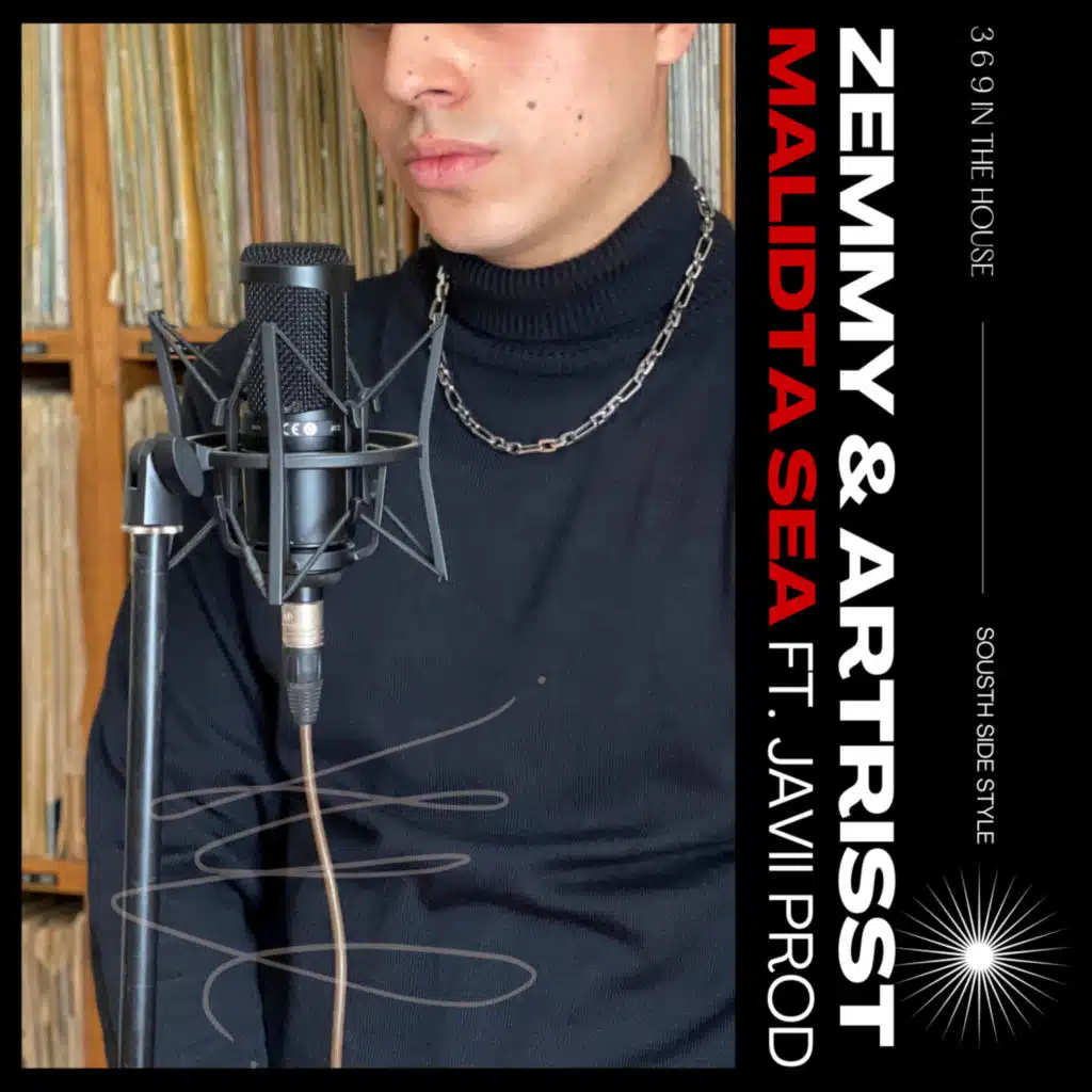 Zemmy & Artrisst
