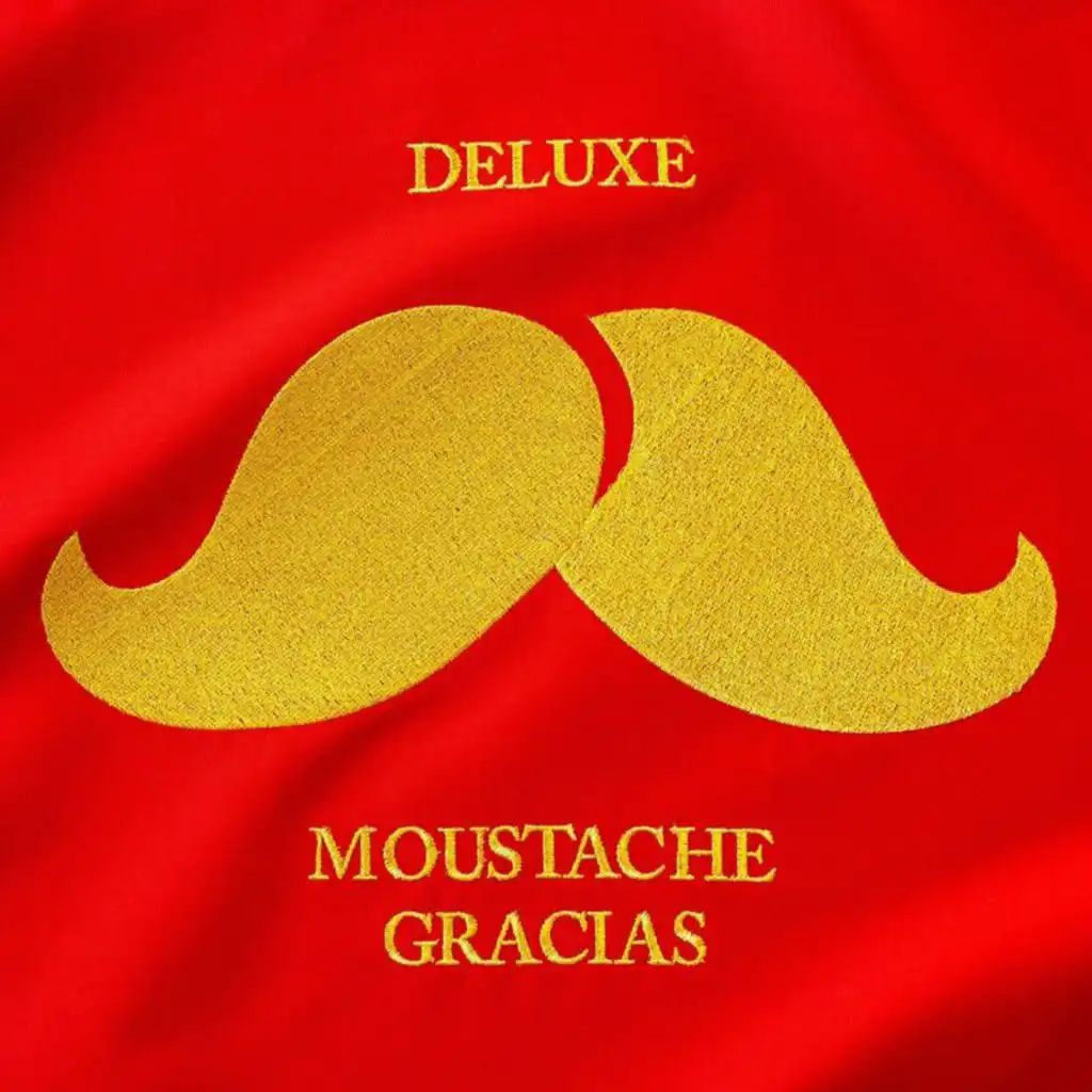 Moustache Gracias (feat. La Rue Ketanou)