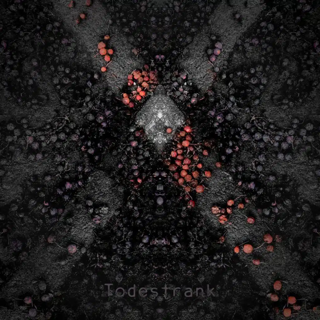 Ambrosia XIX (Instrumental)