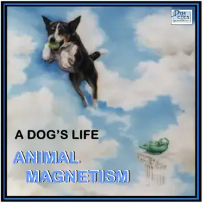 A Dog's Life (feat. Tom Hall)