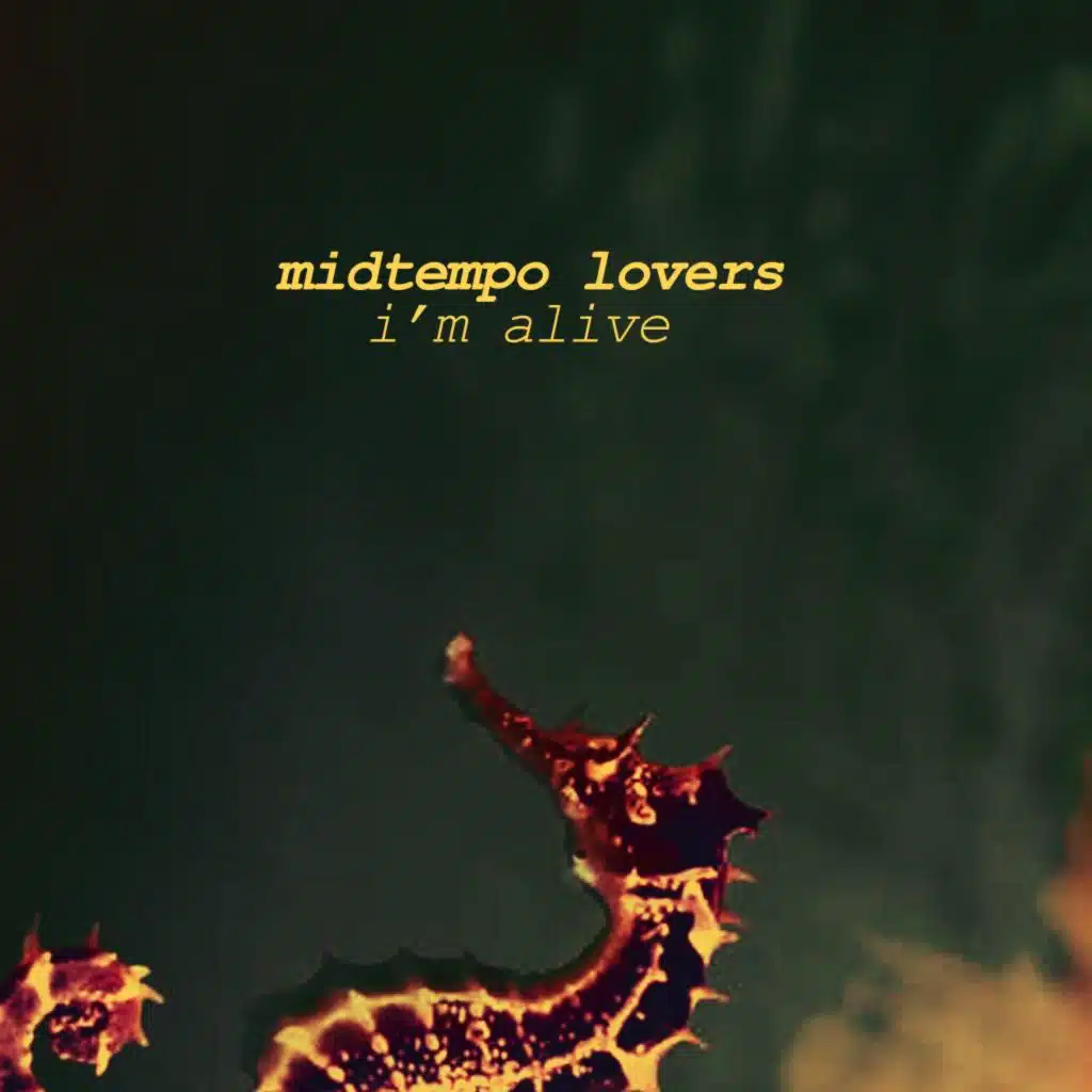 Midtempo Lovers