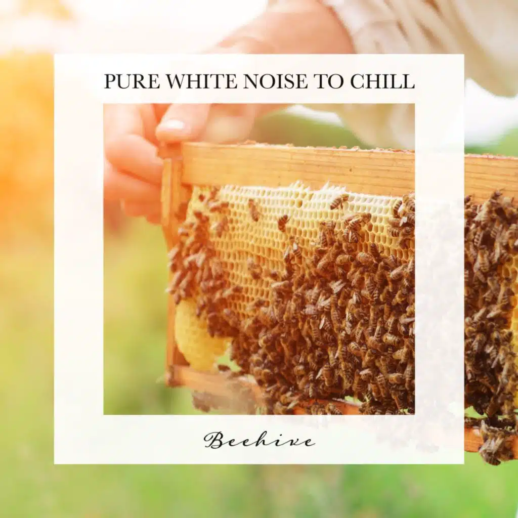 Beehive: Pure White Noise to Chill