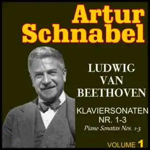 Ludwig van beethoven : Piano sonata no. 1 to 3