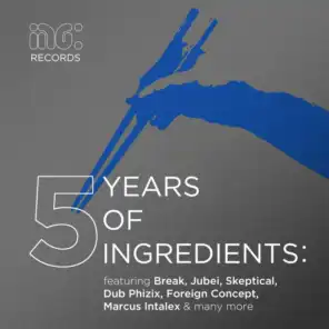 5 Years of Ingredients