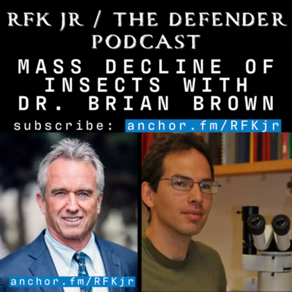 Mass Decline of Insects with Dr Brian Brown