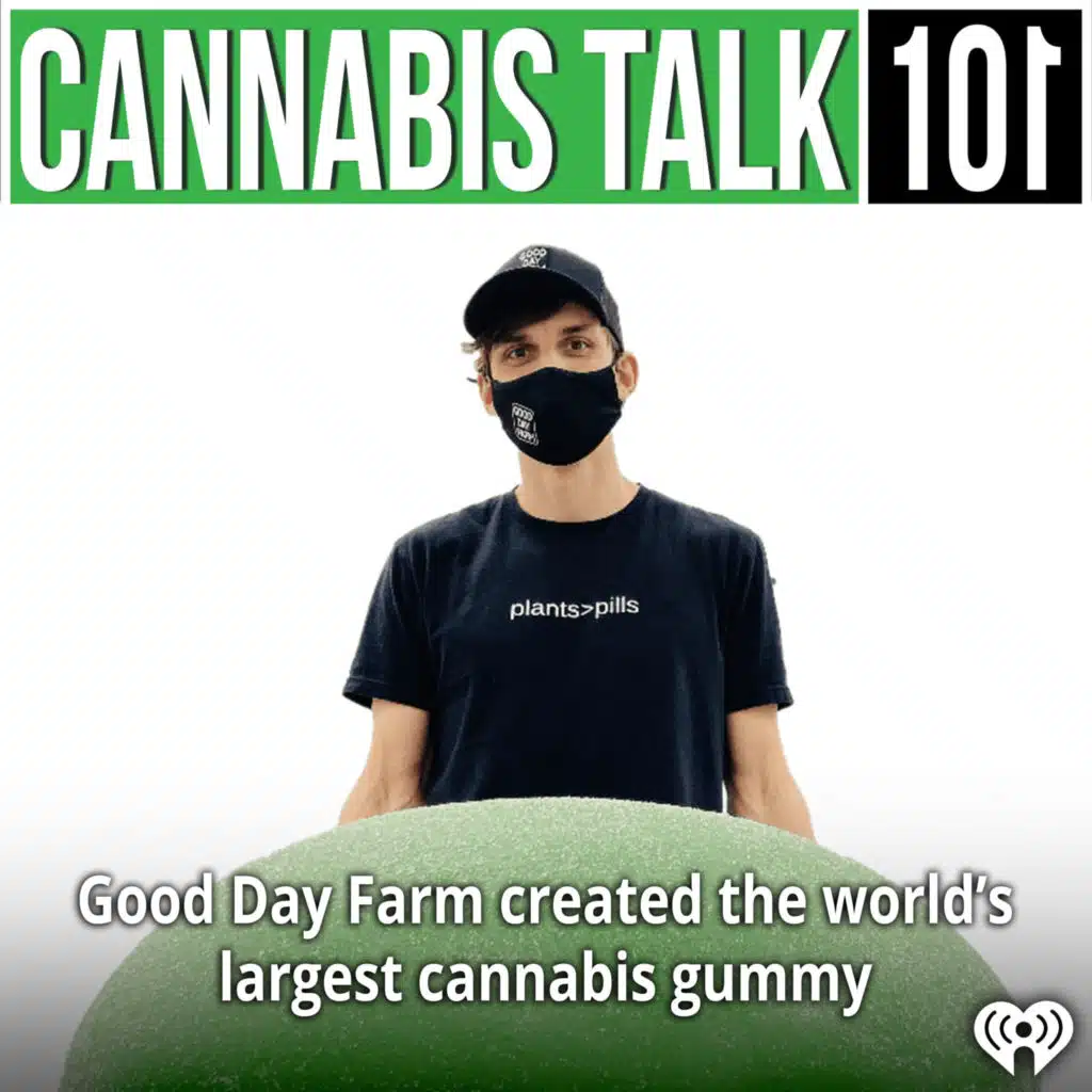 Good Day Farm has created what is believed to be the world's largest cannabis gummy.