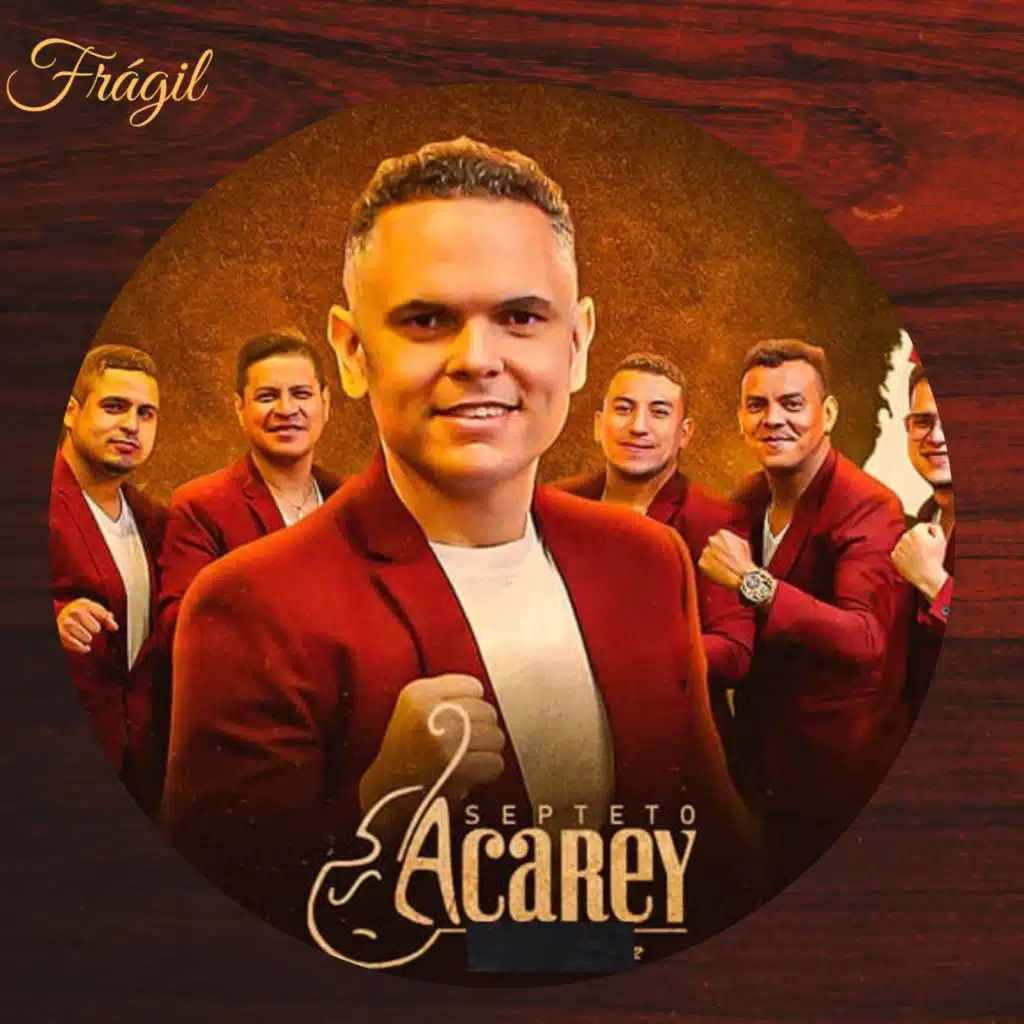 Frágil (En Vivo)