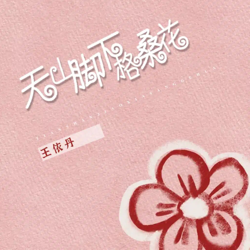 天山脚下格桑花