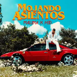 Mojando Asientos (feat. Feid)