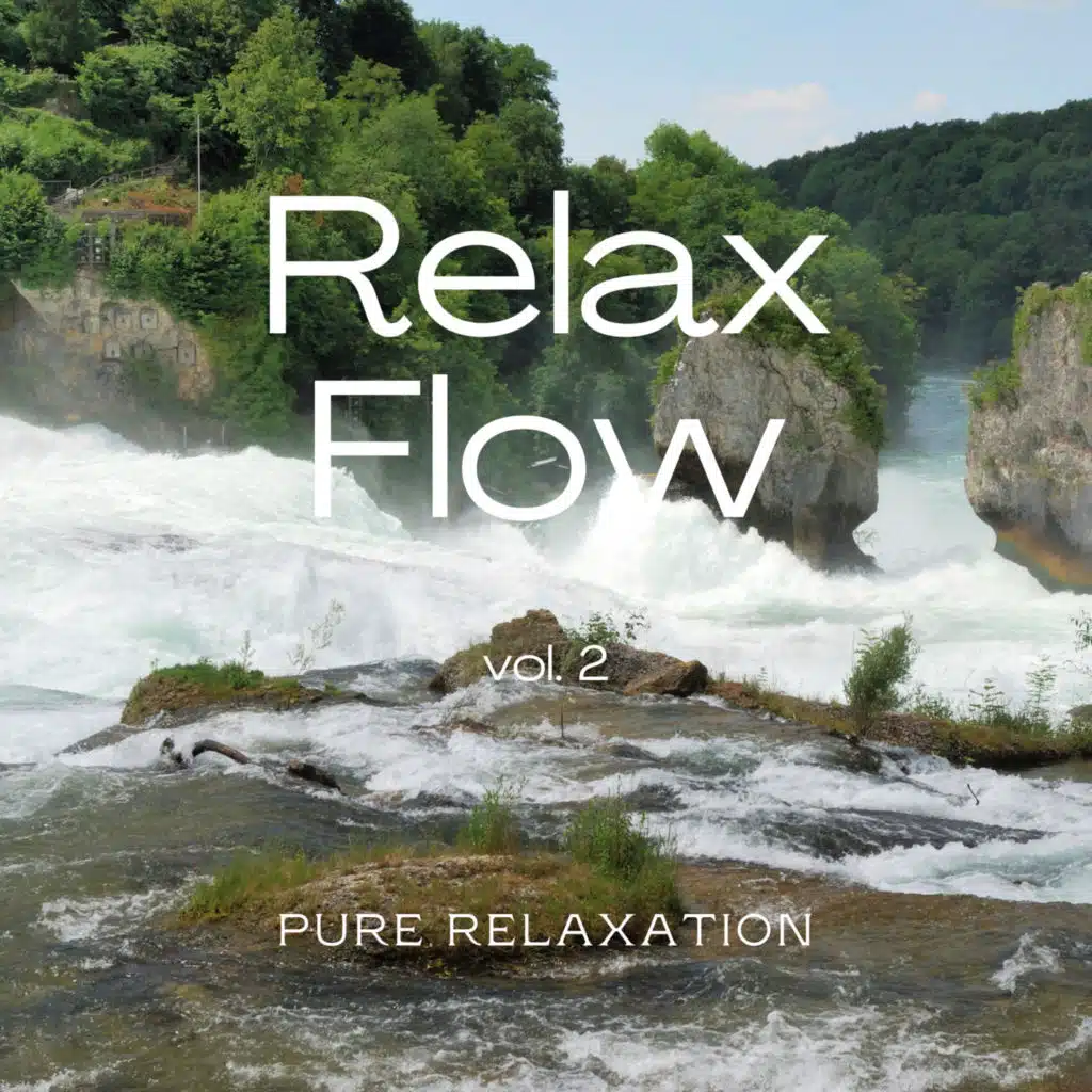 2022 Relax Flow Vol. 2 (feat. Relajación océano y olas, Nature Is Calling & La Naturaleza Del Sueño)