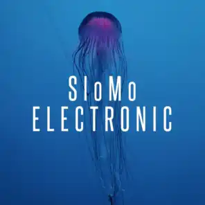 SloMo Electronic