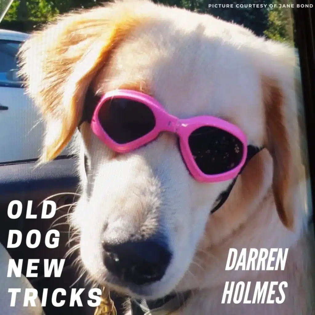 Old Dog New Tricks
