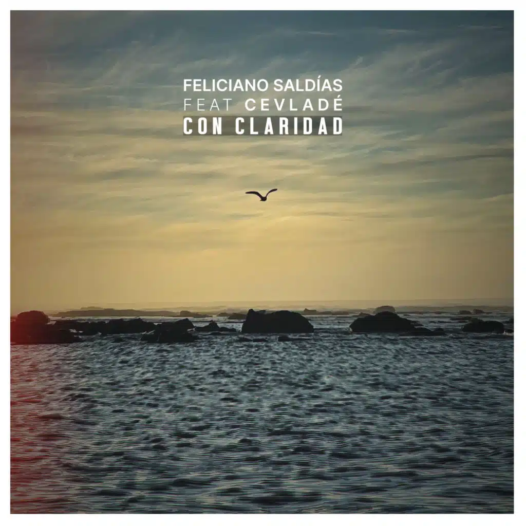 Con Claridad (feat. Cevlade)