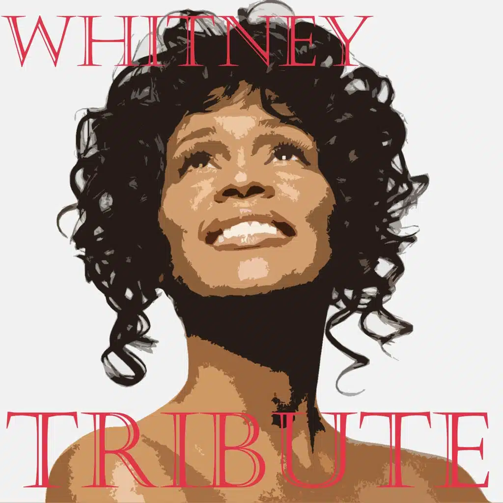 All At Once (Karaoke Version Originally Performed By Whitney Houston)