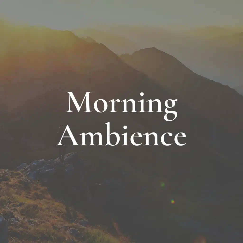 Morning Ambience