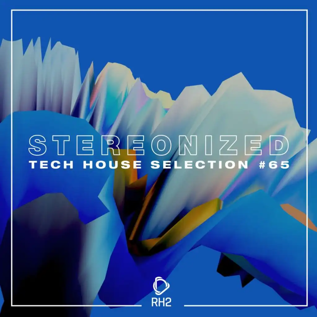 Stereonized: Tech House Selection, Vol. 65