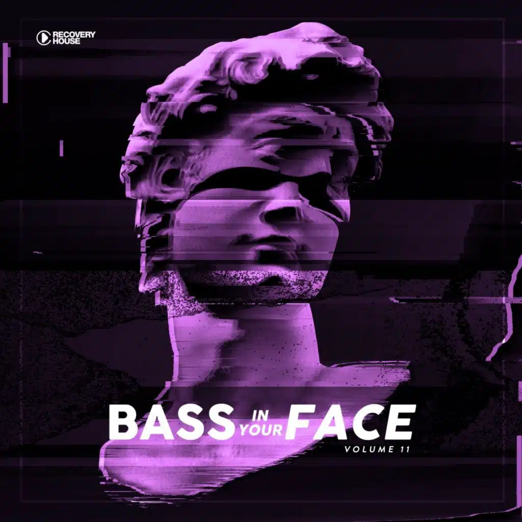 Bass in Your Face, Vol. 11